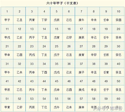 天干與地支|《天干地支》對照表及運用方法